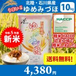令和5年産 新米】北陸・石川県産 ゆめみづほ 10kg 送料無料
